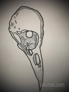 эскизы тату череп ворон 17.09.2019 №023 - Raven Skull Tattoo Sketches - tatufoto.com