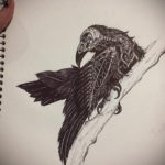 эскизы тату череп ворон 17.09.2019 №027 - Raven Skull Tattoo Sketches - tatufoto.com