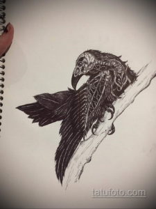 эскизы тату череп ворон 17.09.2019 №027 - Raven Skull Tattoo Sketches - tatufoto.com
