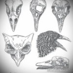 эскизы тату череп ворон 17.09.2019 №028 - Raven Skull Tattoo Sketches - tatufoto.com