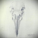 эскизы тату череп ворон 17.09.2019 №030 - Raven Skull Tattoo Sketches - tatufoto.com