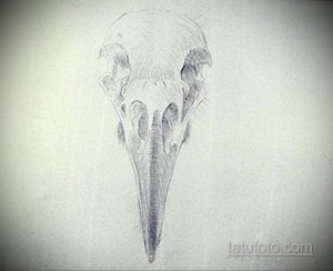 эскизы тату череп ворон 17.09.2019 №030 - Raven Skull Tattoo Sketches - tatufoto.com
