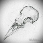 эскизы тату череп ворон 17.09.2019 №031 - Raven Skull Tattoo Sketches - tatufoto.com