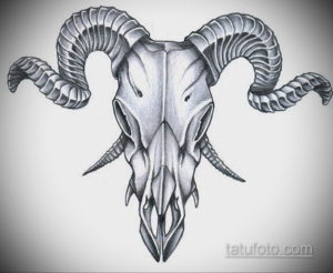 эскизы тату черепа животных 17.09.2019 №003 - animal skull tattoo designs - tatufoto.com