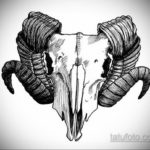 эскизы тату черепа животных 17.09.2019 №018 - animal skull tattoo designs - tatufoto.com
