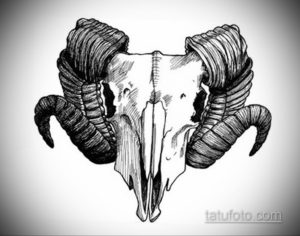 эскизы тату черепа животных 17.09.2019 №018 - animal skull tattoo designs - tatufoto.com