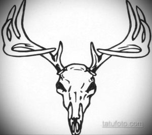 эскизы тату черепа животных 17.09.2019 №020 - animal skull tattoo designs - tatufoto.com