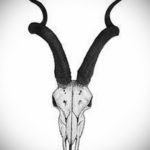 эскизы тату черепа животных 17.09.2019 №025 - animal skull tattoo designs - tatufoto.com