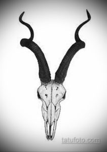 эскизы тату черепа животных 17.09.2019 №025 - animal skull tattoo designs - tatufoto.com