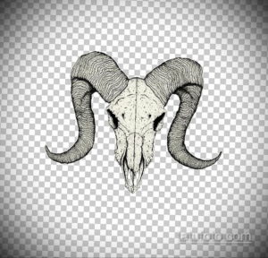 эскизы тату черепа черно белые 17.09.2019 №039 - Skull tattoo sketches bla - tatufoto.com