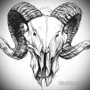 эскизы тату черепа черно белые 17.09.2019 №043 - Skull tattoo sketches bla - tatufoto.com