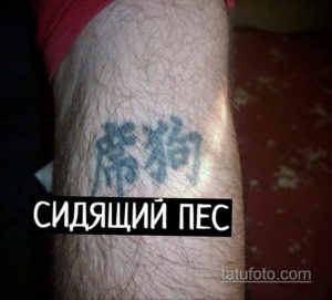 Фото тату на руке с изображением сидящей собаки. Рисунок выполнен в синих тонах, выглядит размыто и нечетко. Присутствует надпись 'СИДЯЩИЙ ПЕС'.