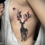 фото женской тату с животным 21.10.2019 №046 - female tattoo with animals - tatufoto.com