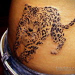 фото женской тату с животным 21.10.2019 №047 - female tattoo with animals - tatufoto.com