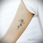 фото рисунка нежной женской тату 21.10.2019 №011 - gentle female tattoo - tatufoto.com
