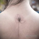 фото рисунка нежной женской тату 21.10.2019 №024 - gentle female tattoo - tatufoto.com