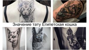 Коллаж из нескольких фотографий татуировок египетских кошек в различных стилях и техниках. Подпись: 'Значение тату Египетская кошка'.