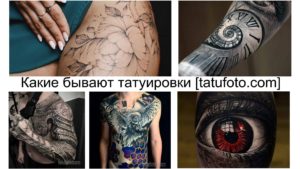 Коллаж фотографий татуировок с изображением кошек, цветов, часов и других элементов. Разнообразие стилей и сюжетов, демонстрирующее популярность кошачьей тематики в тату.