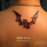 Татуировка разведки – летучая мышь 24.11.2019 №1031 -bat tattoo- tatufoto.com