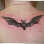 Татуировка разведки – летучая мышь 24.11.2019 №3064 -bat tattoo- tatufoto.com