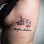 Фото татуировки с изображением спящей серой кошки и надписью 'carpe diem' на боку девушки. Нежный и минималистичный рисунок.