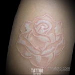 пример белого рисунка татуировки 11.11.2019 №139 -Tattoos in white- tatufoto.com