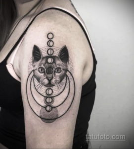 Фото тату кошки и луны в стиле dotwork на плече. Изображение выполнено в черно-белой гамме с использованием точечной техники.