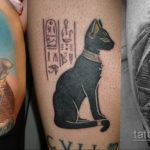 тату Египетская кошка 18.11.2019 №082 -Egyptian cat tattoo- tatufoto.com