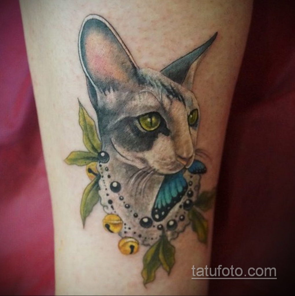 тату Египетская кошка 18.11.2019 №115 -Egyptian cat tattoo- tatufoto.com