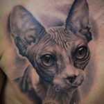 тату Египетская кошка 18.11.2019 №117 -Egyptian cat tattoo- tatufoto.com