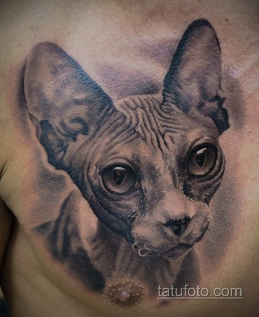 тату Египетская кошка 18.11.2019 №117 -Egyptian cat tattoo- tatufoto.com