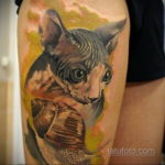 тату Египетская кошка 18.11.2019 №124 -Egyptian cat tattoo- tatufoto.com