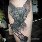 тату Египетская кошка 18.11.2019 №140 -Egyptian cat tattoo- tatufoto.com