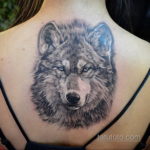 тату волка женские 18.11.2019 №025 -wolf tattoo women- tatufoto.com