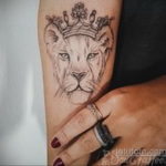 тату лев женская 18.11.2019 №006 -female lion tattoo- tatufoto.com