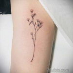тату минимализм женские 18.11.2019 №030 -minimalism tattoos for women- tatufoto.com