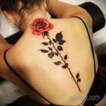 тату на спине женские 18.11.2019 №036 -women back tattoos- tatufoto.com