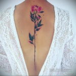 тату на спине женские 18.11.2019 №046 -women back tattoos- tatufoto.com