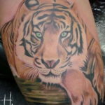 тату японский тигр 26.11.2019 №025 -japanese tiger tattoo- tatufoto.com