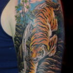 тату японский тигр 26.11.2019 №031 -japanese tiger tattoo- tatufoto.com