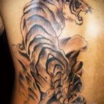 тату японский тигр 26.11.2019 №034 -japanese tiger tattoo- tatufoto.com