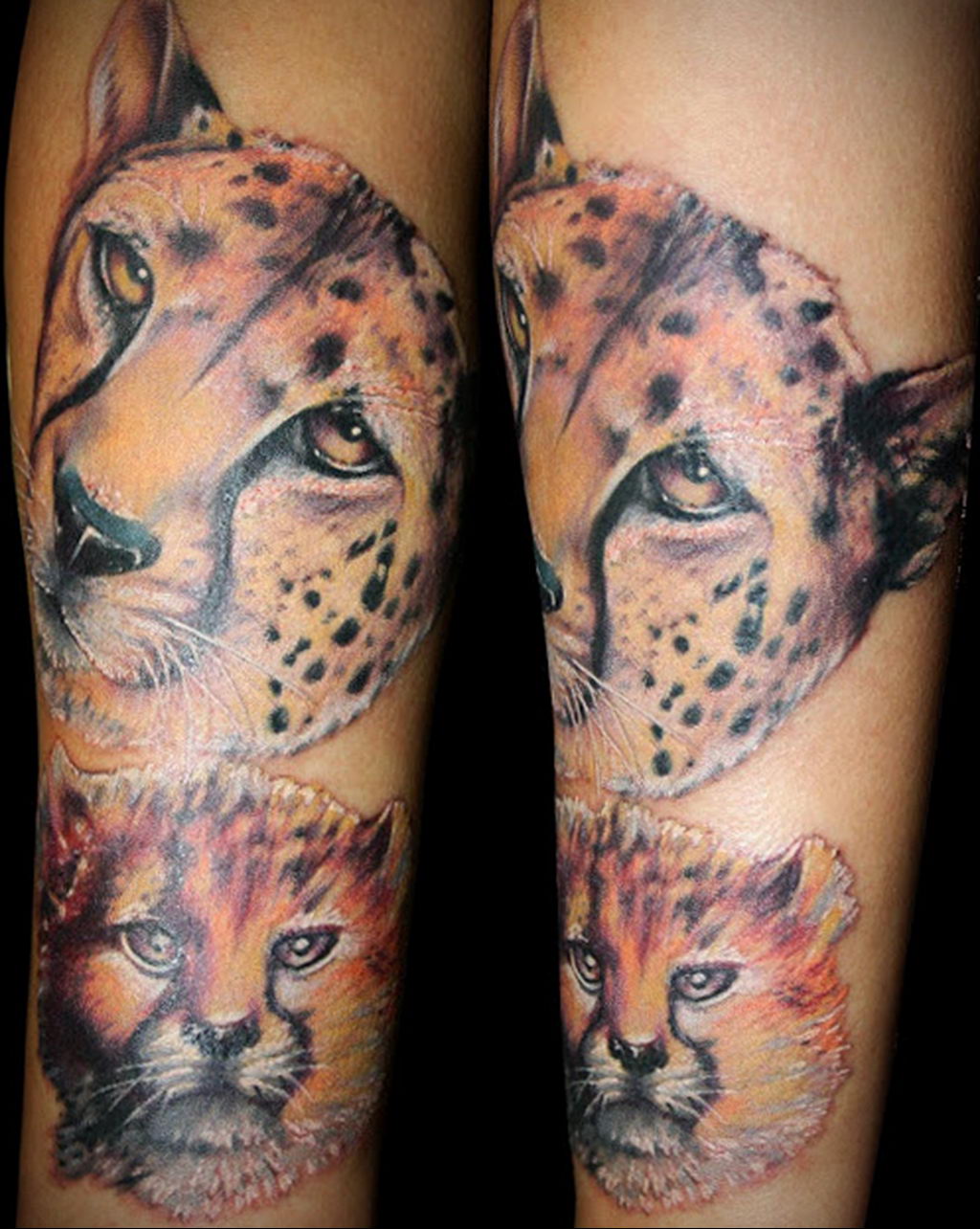 Фото тату Гепард 12.01.2020 № 203 -cheetah tattoo- tatufoto.com. 