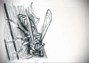 Графический эскиз татуировки осы, выполненный карандашом. Изображение осы с детализированными крыльями и телом.