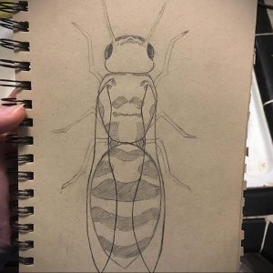 Карандашный эскиз татуировки осы, нарисованный на листе бумаги. Видны контуры тела, крыльев и ног осы.