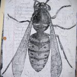 Черно-белый эскиз татуировки бумажного осы, нарисованный на листе бумаги в клеточку с заметками и каракулями. Детализированный рисунок насекомого.