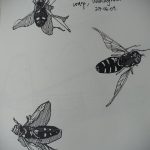 drawing wasp 07.01.2020 №1051 -wasp tattoo sketch- tatufoto.com