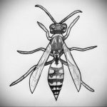 drawing wasp 07.01.2020 №1089 -wasp tattoo sketch- tatufoto.com
