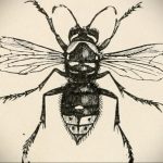 drawing wasp 07.01.2020 №1092 -wasp tattoo sketch- tatufoto.com