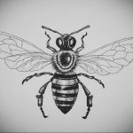 drawing wasp 07.01.2020 №11035 -wasp tattoo sketch- tatufoto.com