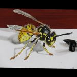Фотография рисунка татуировки осы, выполненного карандашом, с акцентом на детализацию крыльев и полосатого брюшка. Рука мастера дорабатывает рисунок.